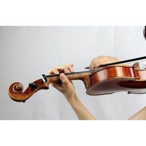 vendita violini