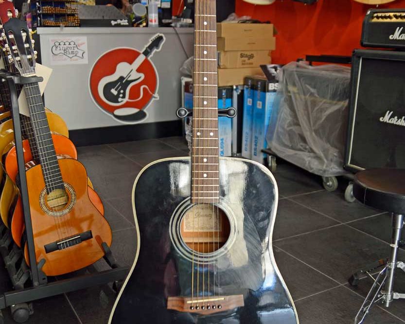 Chitarra Acustica IBANEZ PF 10 BK